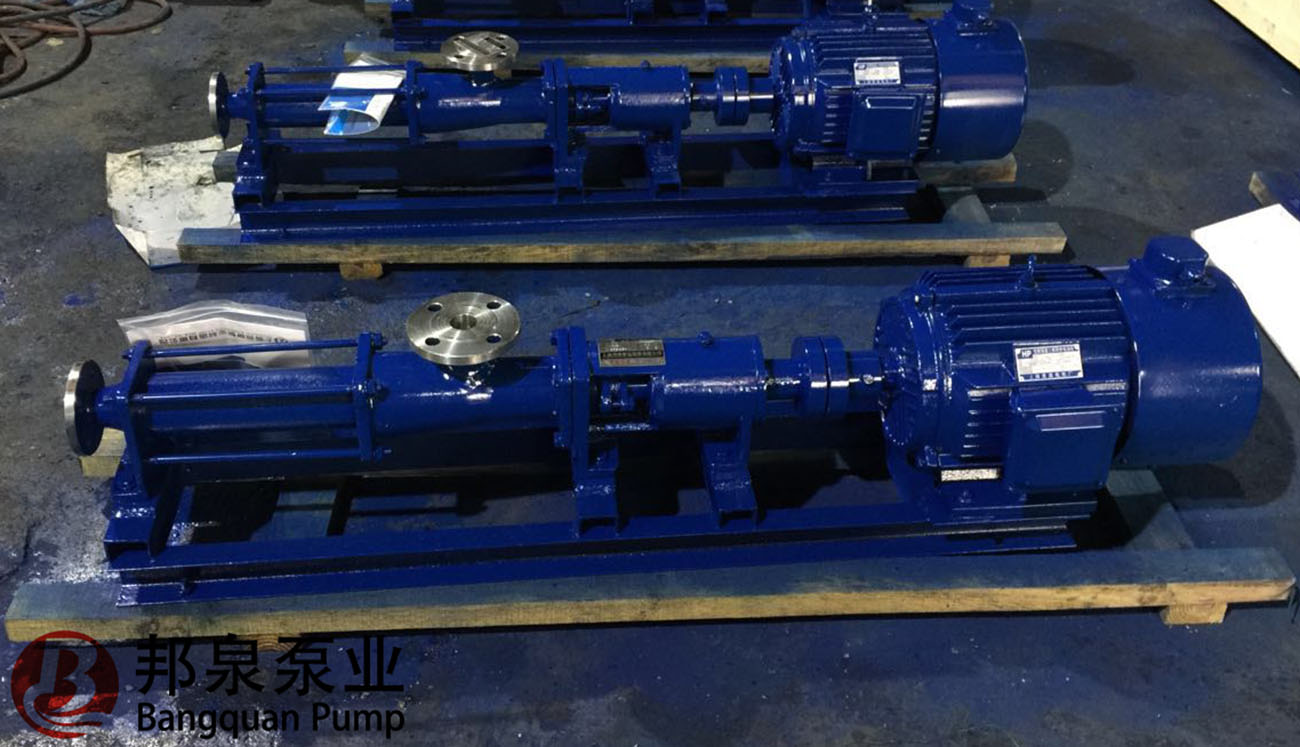 PAM加藥泵 變頻投加螺桿泵