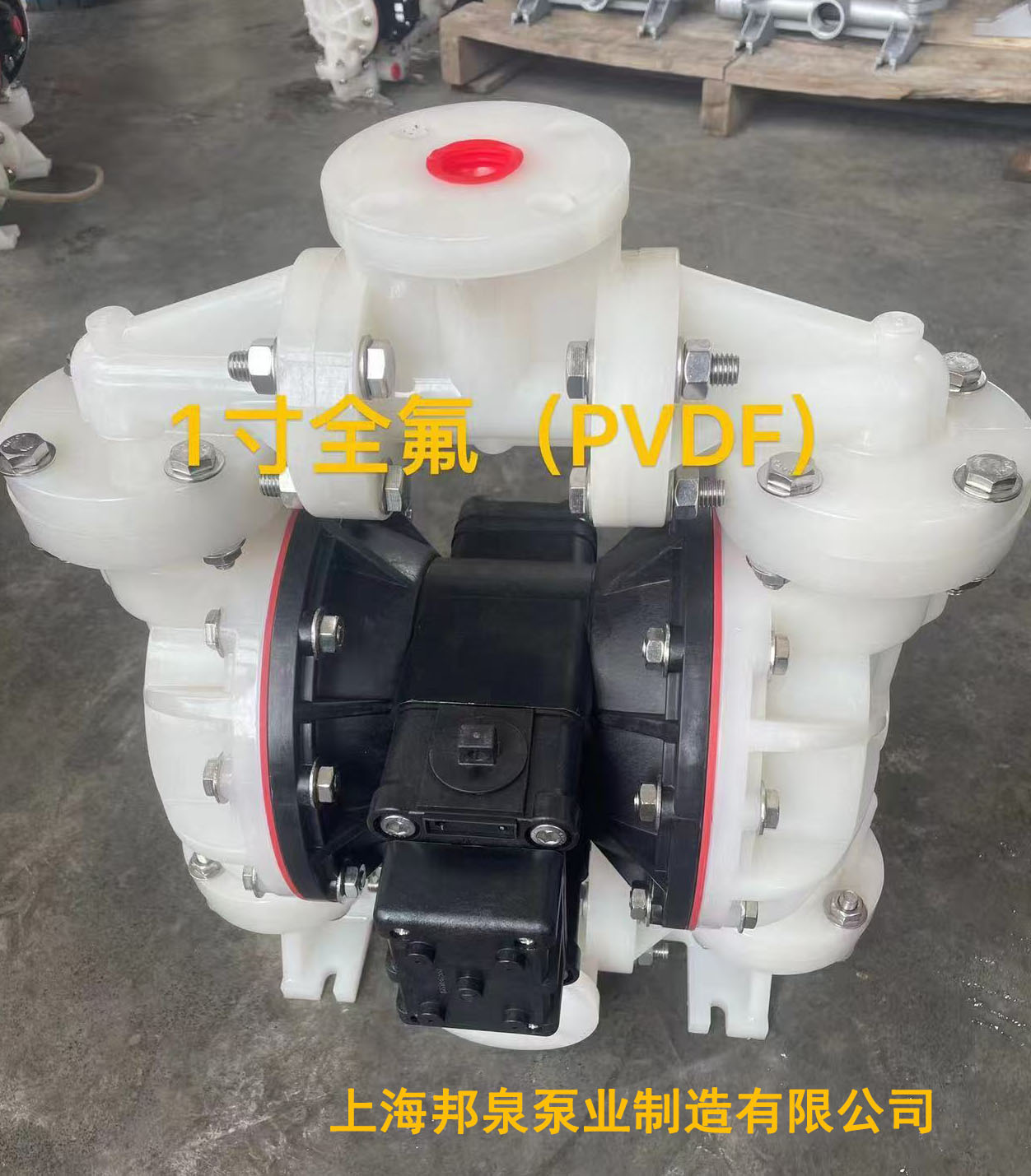 PVDF pneumatic diaphragm pump 1寸全氟PVDF氣動(dòng)隔膜泵